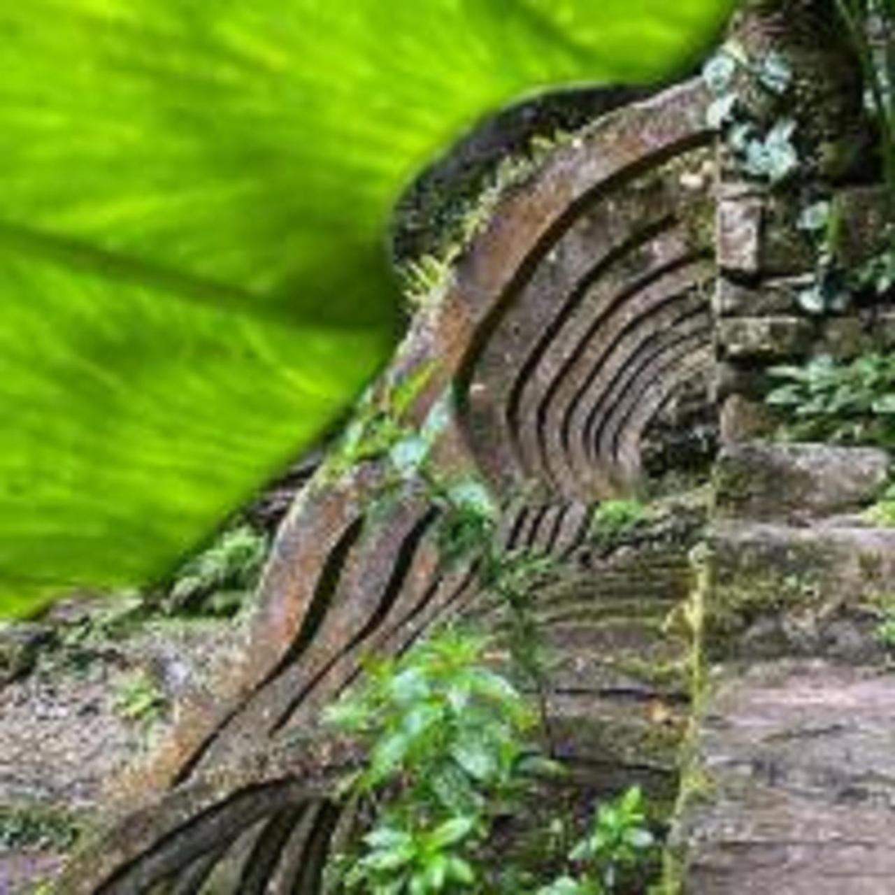 Grann Posada Xilitla ภายนอก รูปภาพ